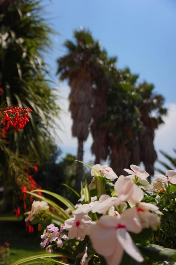 B&B Villa Del Sole จิซเซเรีย ภายนอก รูปภาพ